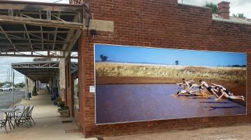 On the side of Grain and Press Cafe, Trundle, the photo Diving in the dam at Warrawee (Col & Dolly McGrath's farm) by photographer Lex Weaver is on dispaly. Image supplied