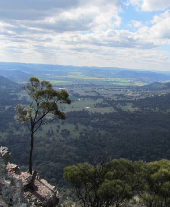 Nangar Lookout: Get back to nature this year and include a few bush walks in your schedule. 