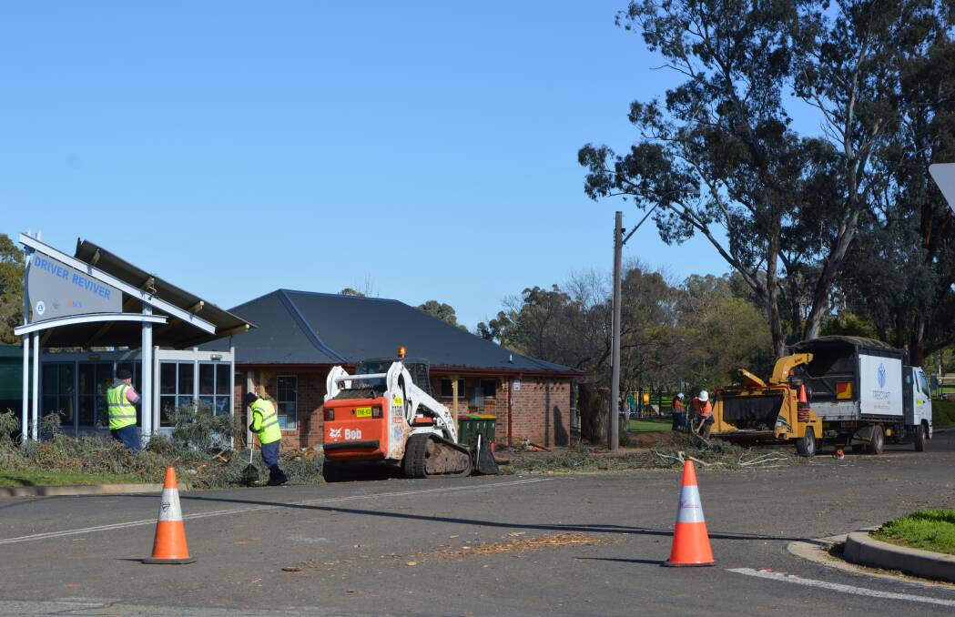 Contractors cleaning up after removing the five massive gum trees outside the Landcare offices in Thomas Street. The trees were deemed dangerous by specialists. 