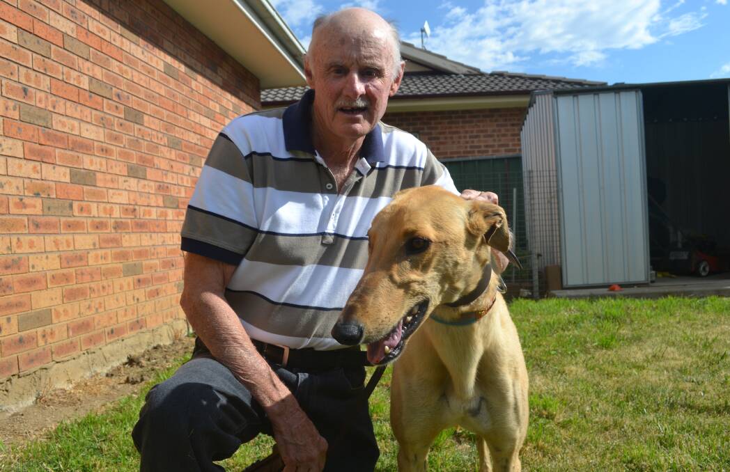 Bathurst trainer John Jones with Jock Colley the greyhound, named in honour of the rugby league icon. Photo by Bradley Jurd. 