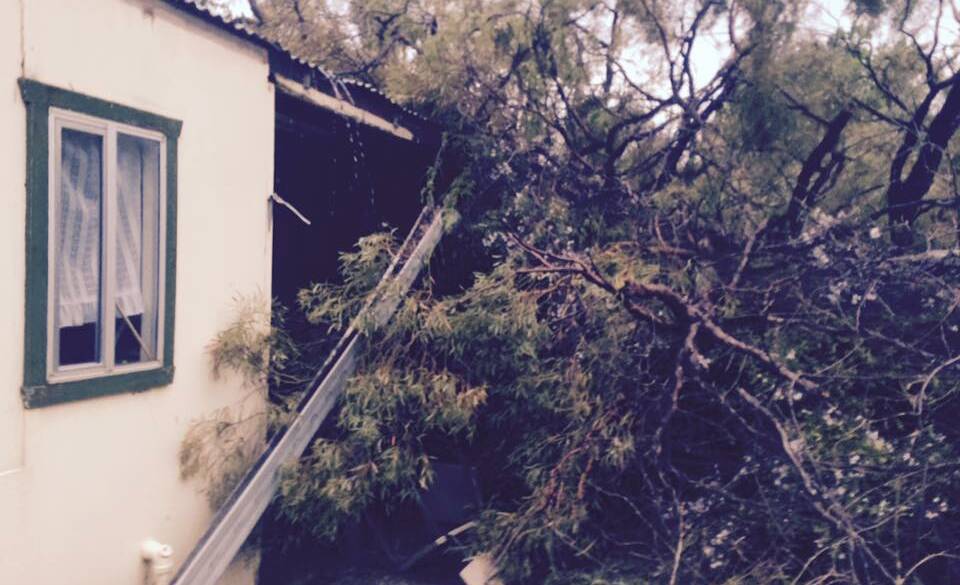 A tree landed on the back of this resident's house. Photo posted on Facebook by Dizzy Lizzy Liz.