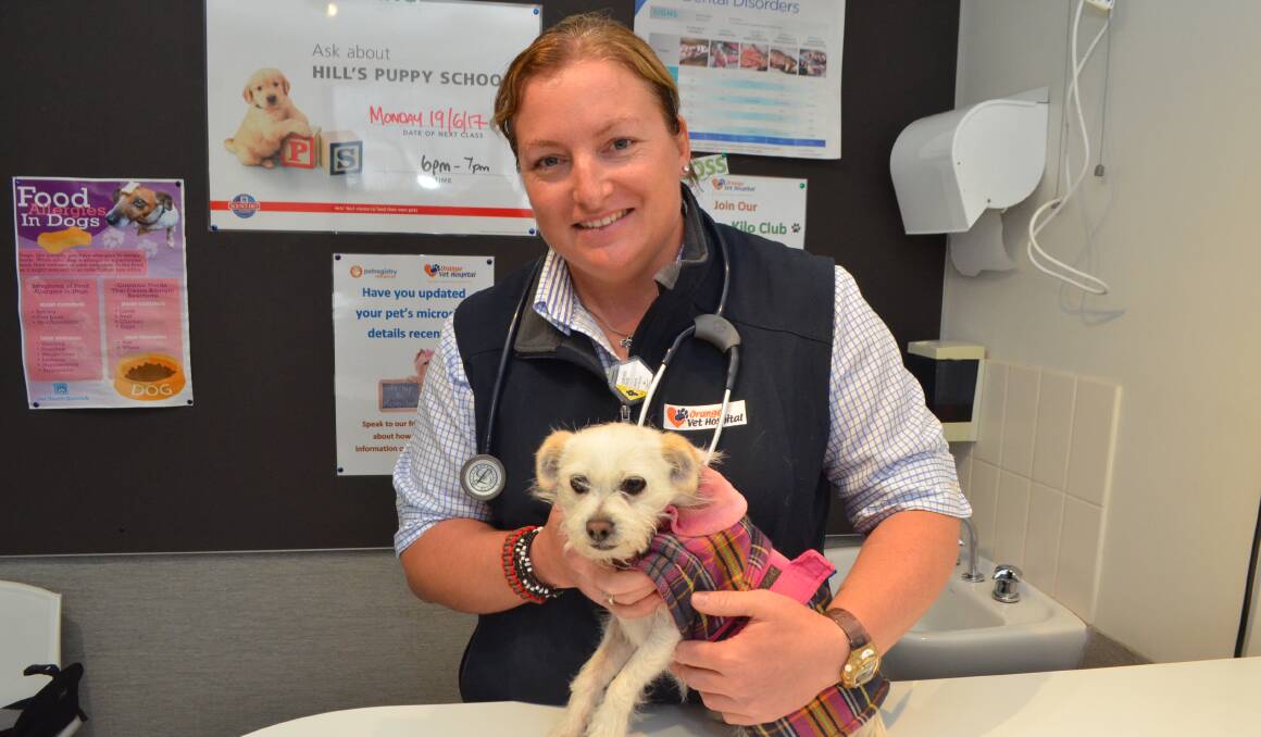 WORD OF CAUTION: Orange Veterinary Hospital vet Genevieve Liebich, pictured with her dog Billie, had advised dog owners to be wary of snakes. Photo: DANIELLE CETINSKI 0716dcsnake1