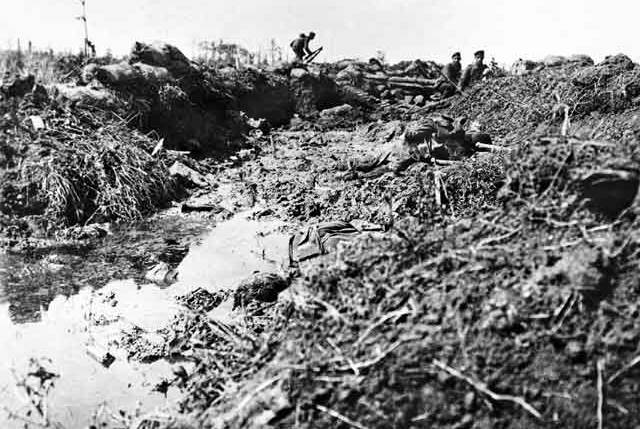The Battle of Fromelles over 19/20th July 1916 was the first major battle fought by Australian troops on the Western Front. Today marks the centenary of the battle.