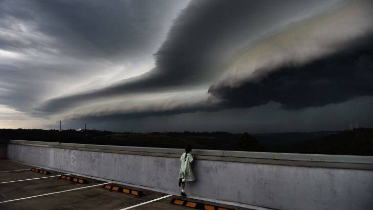 Cleopatra Moir watches a shelf cloud move into Sydney from Terrey Hills. Photo: Nick Moir
