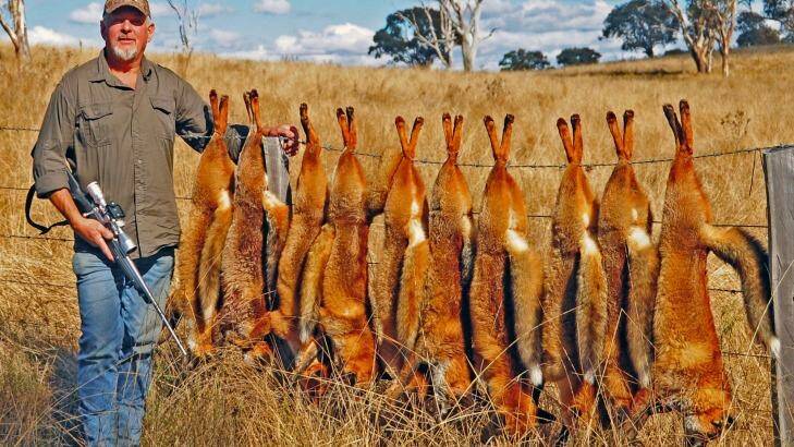 Sports shooter and Silva Fox whistle proprietor Ron Kiehne with 10 shot foxes. Photo: Supplied