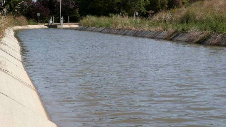 The Morris Canal in Griffith where the young boy died.  Photo: Daily Advertiser