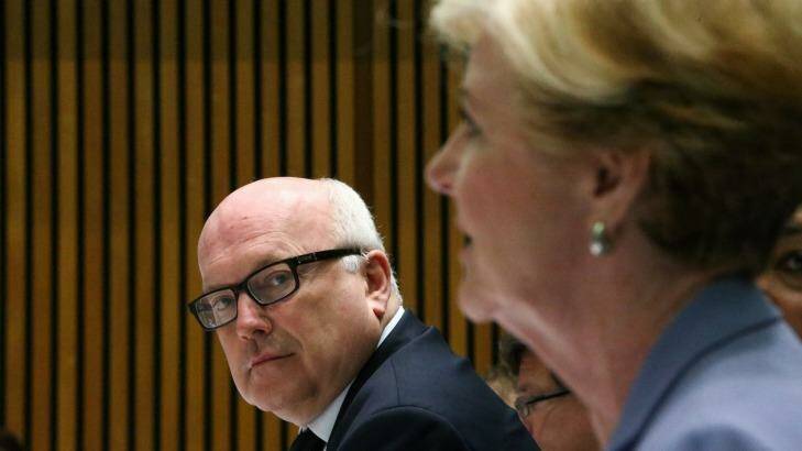 Attorney-General George Brandis and Australian Human Rights Commission president Professor Gillian Triggs during a Senate hearing at Parliament House in Canberr. Photo: Photo: Alex Ellinghausen