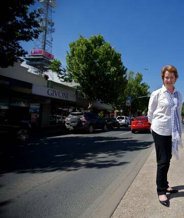 Independent candidate Suzanna Sheed  won the northern Victorian electorate of Shepparton in the state election. Photo: Jason South
