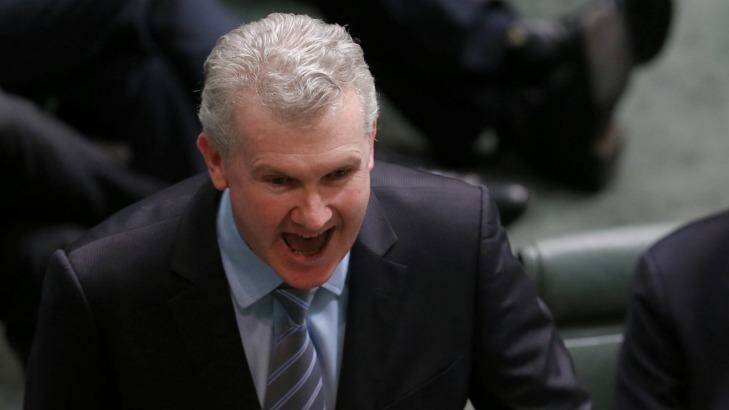 Labor finance spokesman Tony Burke: "There's no way of increasing the revenue for [the GST] without hurting people who can least afford it." Photo: Alex Ellinghausen
