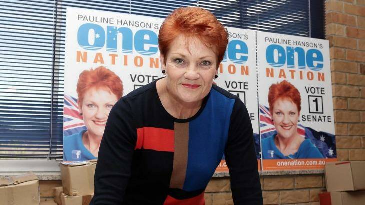 Pauline Hanson was labelled a 'racist redneck' by an Indigenous leader when she attended an art fair in Cairns. Photo: Tertius Pickard