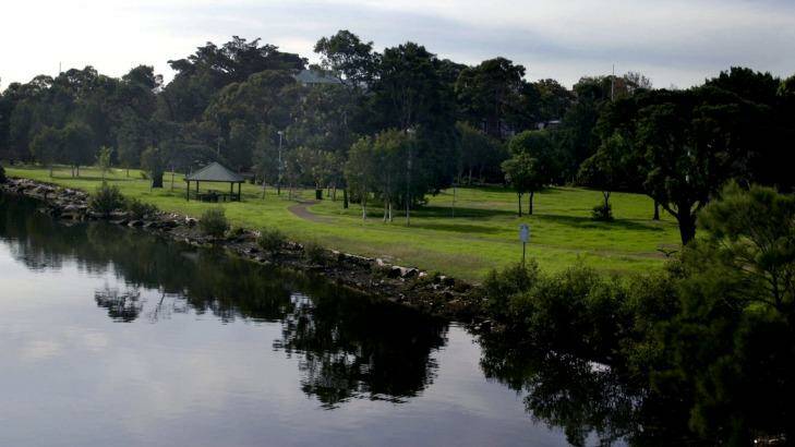 As many as 1000 trees along the Cooks River are being assessed for potential removal by energy companies. Photo: Paul Miller
