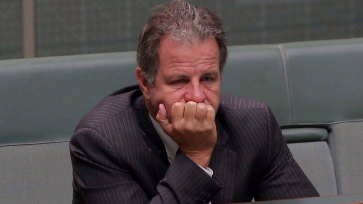 Dennis Jensen has been dumped by his party after a ballot on Sunday. Photo: Andrew Meares