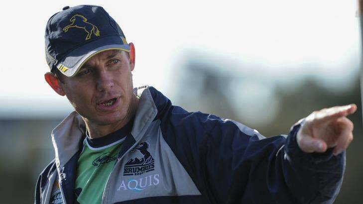 The Wallabies have lured Brumbies coach Stephen Larkham full-time from after the 2017 Super Rugby season. Photo: Graham Tidy