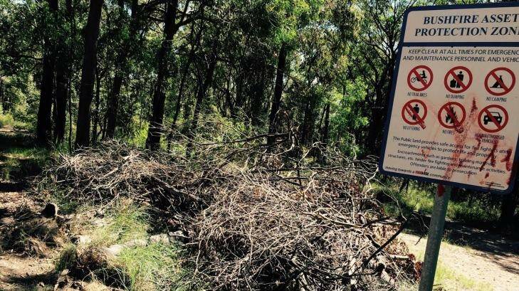 Vegetation being dumped in one asset-protection zone. Photo: Stop the Chop