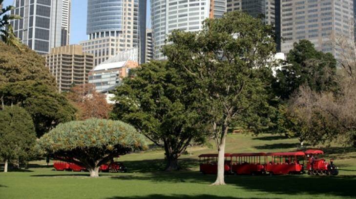 Red tourist trains run through the Royal Botanic Garden in Sydney. Photo: Steve Baccon