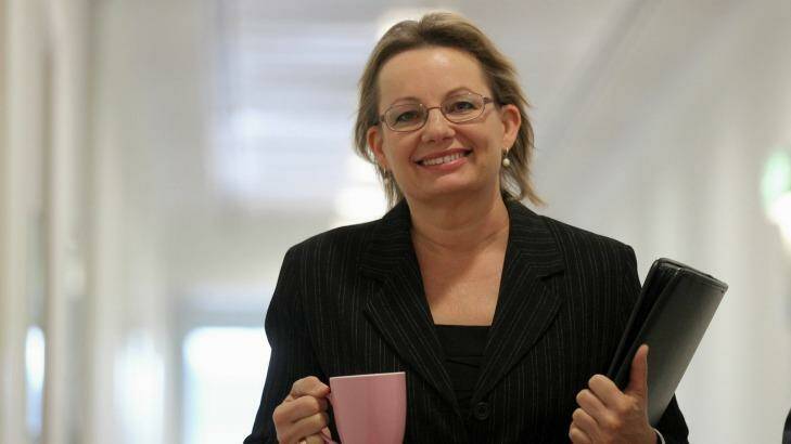 Sussan Ley: "Labor has left a complex, expensive mess behind and this is not an easy overnight fix."  Photo: Alex Ellinghausen 