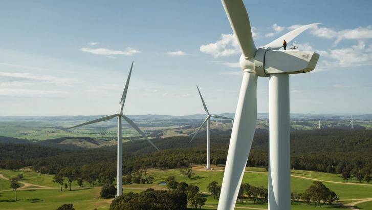 Clean energy investors are hoping for some policy stability. Photo: Supplied