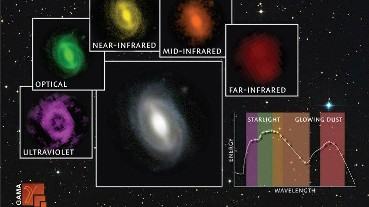 A galaxy from the GAMA survey observed at different wavelengths from the far ultraviolet to the far infrared. The inset graph shows how much energy is being generated at the different wavelengths. Photo: ICRAR/GAMA