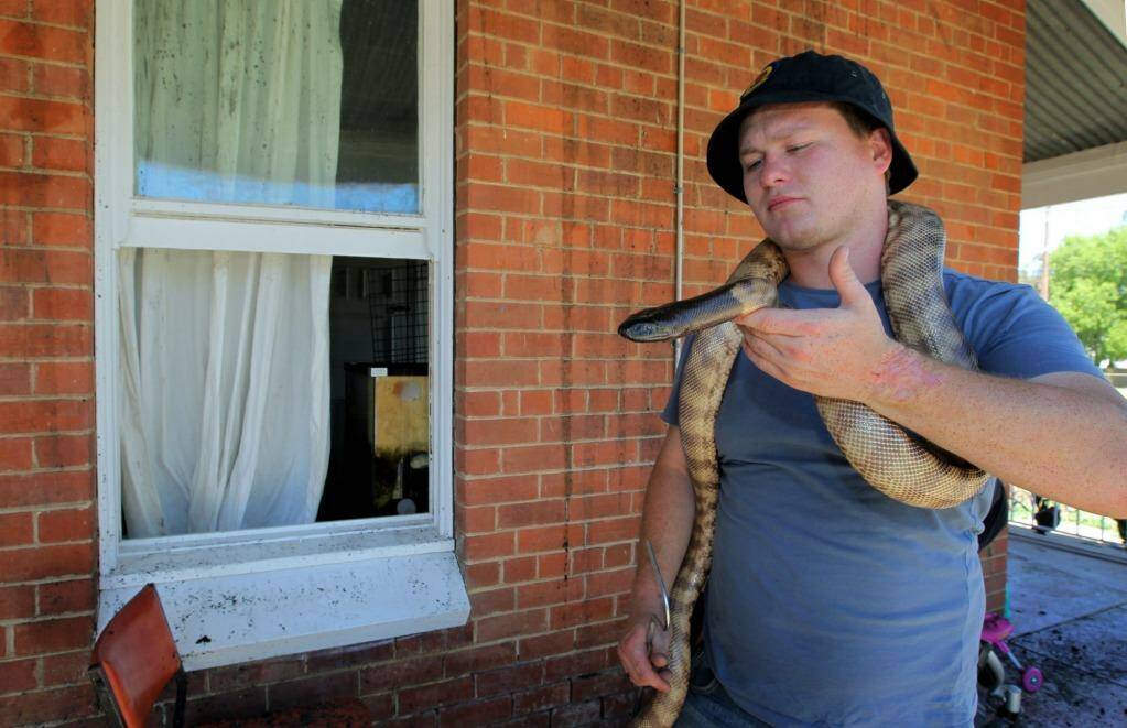 On the slither: Richard Sutton with one of the snakes he saved from his burning house.  Photo: David Thorpe