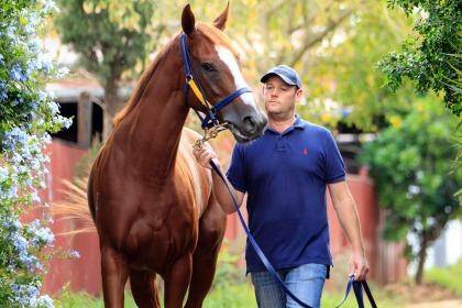 Confidence: Trainer Scott Aspery with Estonian Princess, which is set for the Festival Stakes. Photo: Andy Zakeli