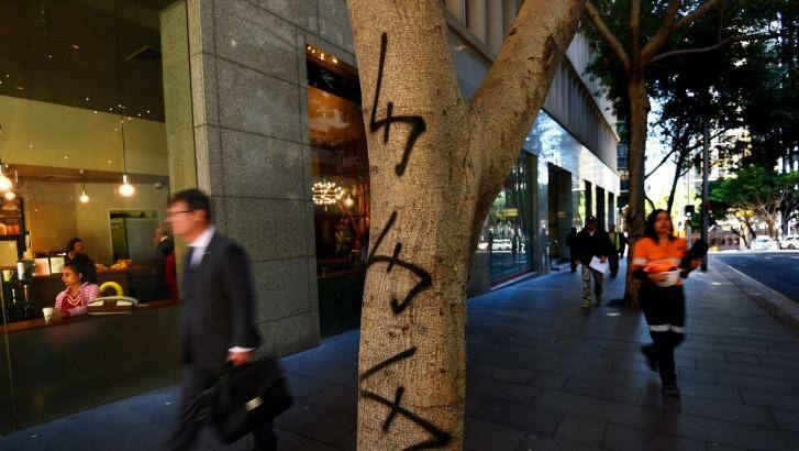 Branch commute: Trees along Market Street are soon to be ripped up. Photo: Kate Geraghty