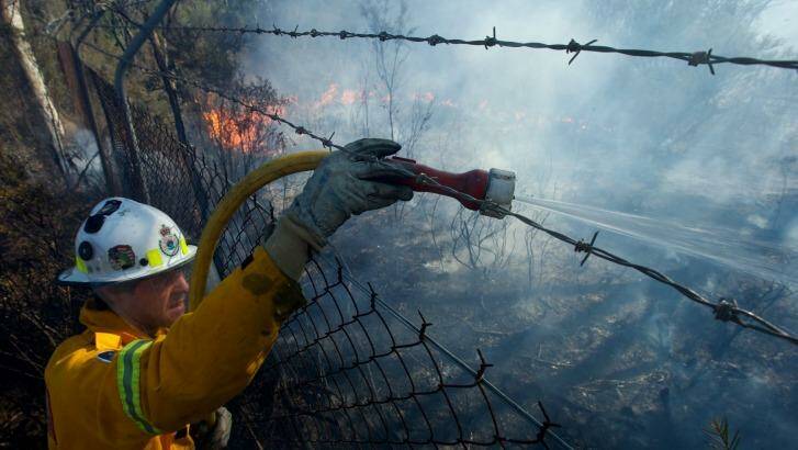 This summer's fire season likely to be an active one, authorities say. Photo: Wolter Peeters