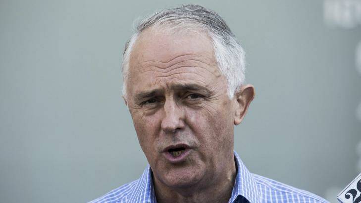 Prime Minister Malcolm Turnbull's suggestion of withdrawing from the funding of public schools would be the biggest mistake ever in education, says NSW Liberal Adrian Piccoli.
 Photo: Dominic Lorrimer