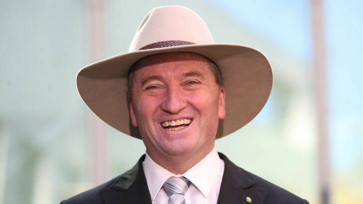 Deputy Prime Minister Barnaby Joyce during a press conference at Parliament House in Canberra on Thursday 20 April 2017. Photo: Andrew Meares  Photo: Andrew Meares