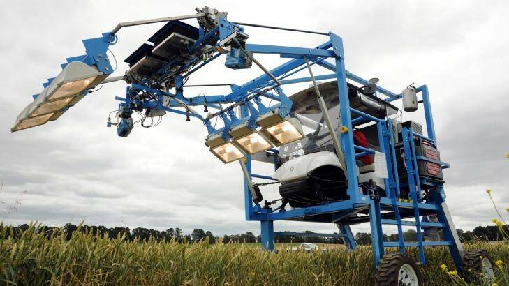 The phenomobile: a high tech buggy designed and built by the Australian Plant Phenomics Facility in Canberra which uses lasers, thermal imaging and light reflected from the crop to rapidly measure growth, photosynthesis and stress responses of wheat in the field. Photo: CSIRO