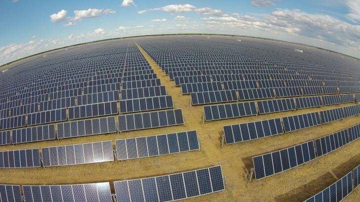Sun power: The Moree solar farm in NSW. Photo: Supplied