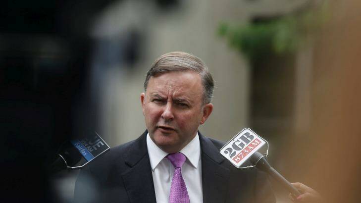 Anthony Albanese says the new terror laws needed "greater scrutiny" before they were passed. Photo: Dominic Lorrimer