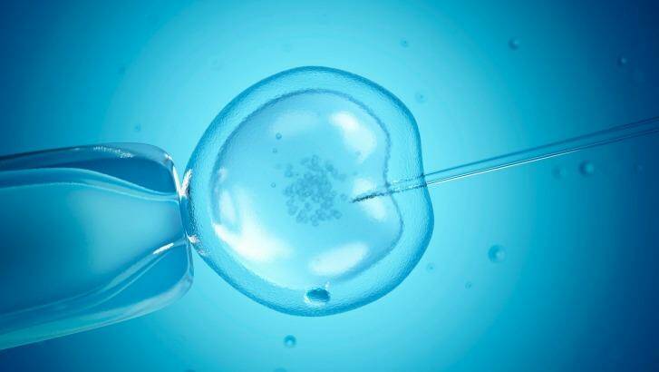 IVF clinics will require women who use donor eggs, sperm or embryos to give a written undertaking to have a blood test to verify whether they fell pregnant. Photo: Sebastian Kaulitzki