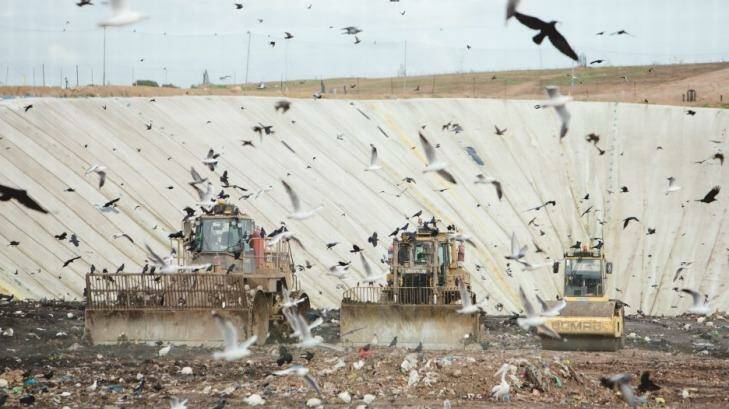 Windfall: Landfill operators stand to profit from levies already collected. Photo: James Boddington