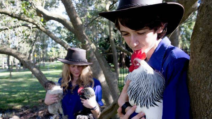 Pittwater High year 10 students Penny Fraser and Jason Beard with the school's chickens. Photo: Edwina Pickles