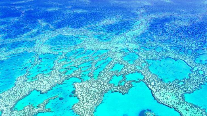 The Great Barrier Reef. Photo: Supplied