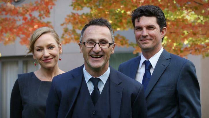 Senator Ludlam emerged as one of two co-deputy leaders - with Larissa Waters - when Richard Di Natale took over the leadership of the party in mid-2015. Photo: Andrew Meares