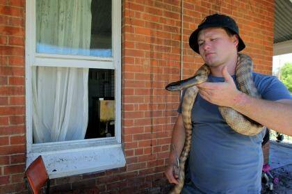 On the slither: Richard Sutton with one of the snakes he saved from his burning house.  Photo: David Thorpe