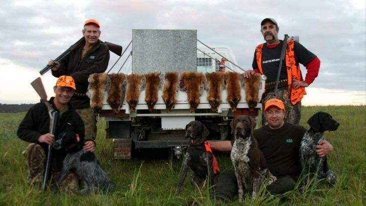 Wayne Hogan, Andy Mallen, David Mills and Steve Ballas (standing) with their pointer dogs and nine foxes, flushed from large blackberry patches near Marulan. Photo: Supplied