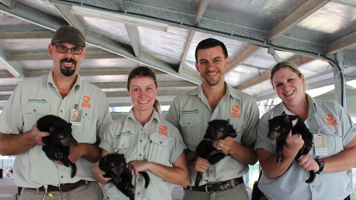 AWESOME FOURSOME: Taronga Western Plains Zoo staff greet the new arrivals.