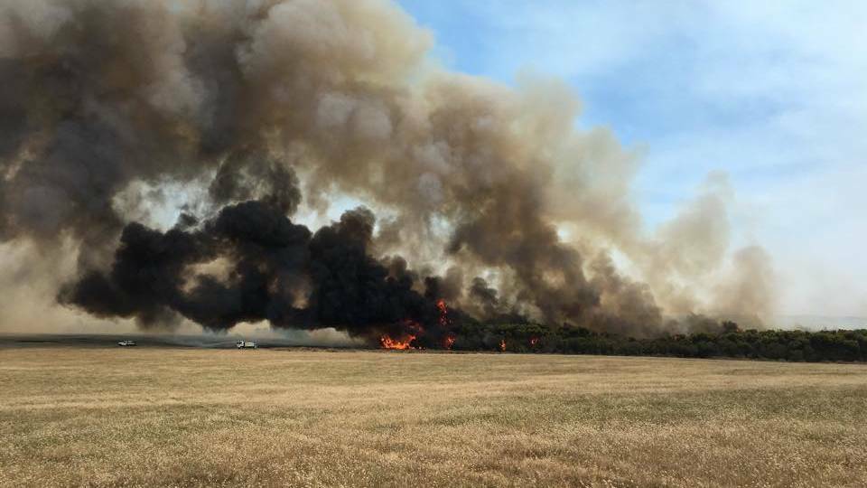 WA bushfires: Four dead, 15,000 stock lost in Esperance