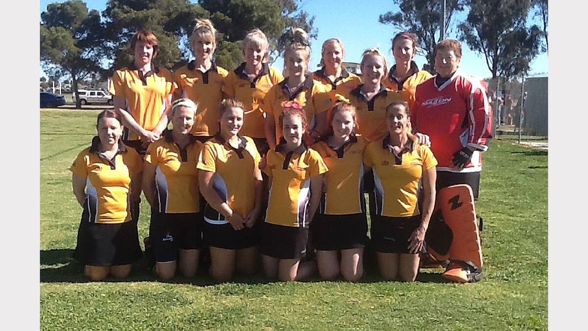 Rovers Cubs womens A grade premiers consisted of, back from left - Rochelle Smith, Jane Grosvenor, Mandy Westcott, Jess Ross, Tracey Harrison, Tracey Chambers, Jane Mattiske, Maureen Massey; Front - Wendy Huppatz, Denise Gersbach, Madelyn Williams, Stacey Ross, Illie Hewitt, and Marcia Scally. sub