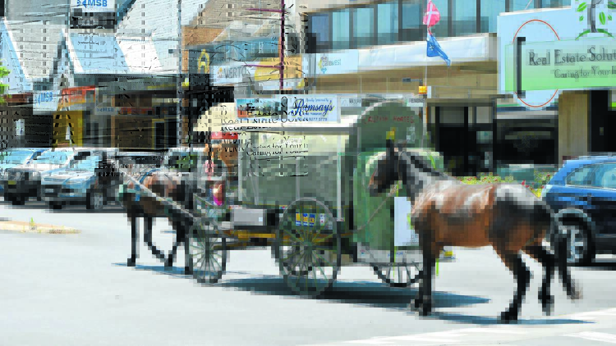 ‘Good on ya mate’, and ‘g’day!, how ya goin?’ were among the many greetings Ian Retallack received as he arrived in Parkes this week with his horse powered wagon as part of his three year charity trek around Australia.    Photo: Bill Jayet  