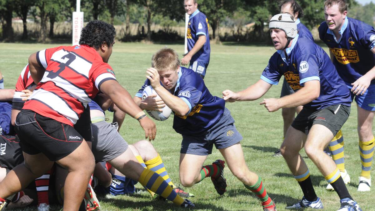 BACK IN BLUE: Talented Bulldogs scrumhalf Tom Hollis has been named in the Central West Blue Bulls squad yet again. Photo: CHRIS SEABROOK  030511cbulls10