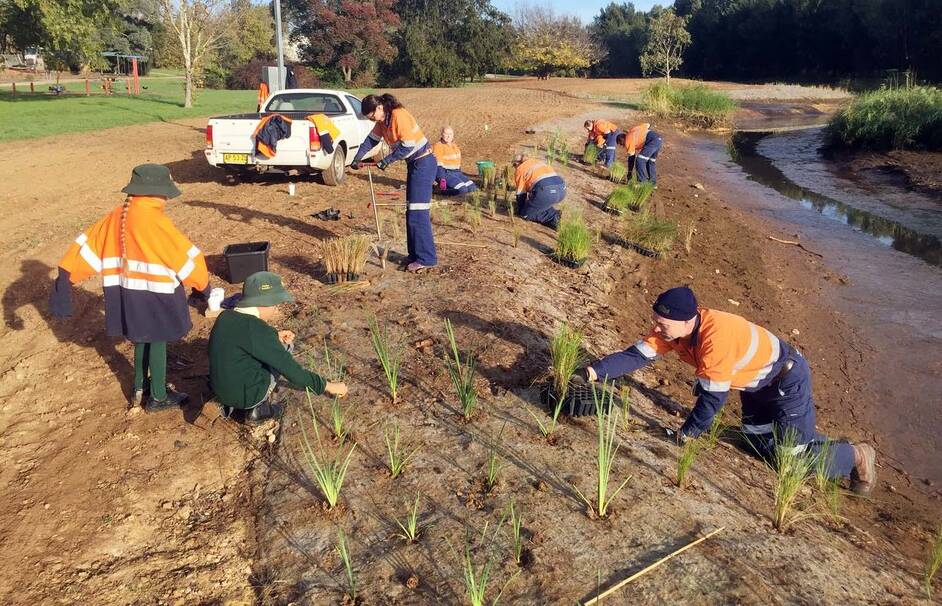 Northparkes staff and some young volunteers carry out planting at the site.