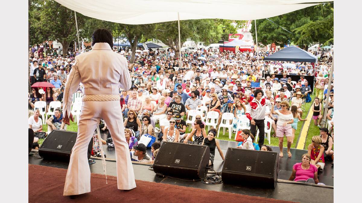 Valuable suggestions for Elvis 2017 Festival 
