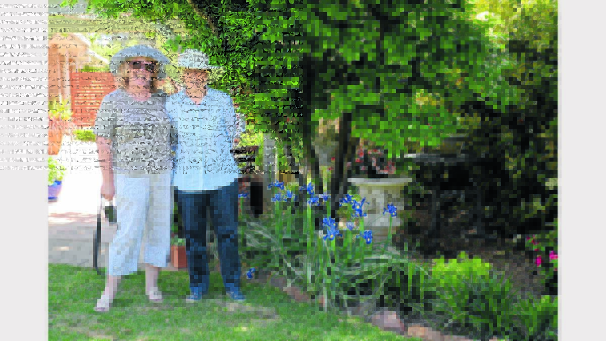 Susan Young (Perth) and Penny Hutton (South Australia) called in to our garden while in the area for the Dodge Brothers Car Club rally.