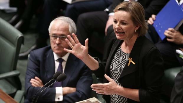 NEW LEGISLATION: Health Minister Sussan Ley will introduce the National Cancer Screening Register Bill 2016 to establish a new national register.