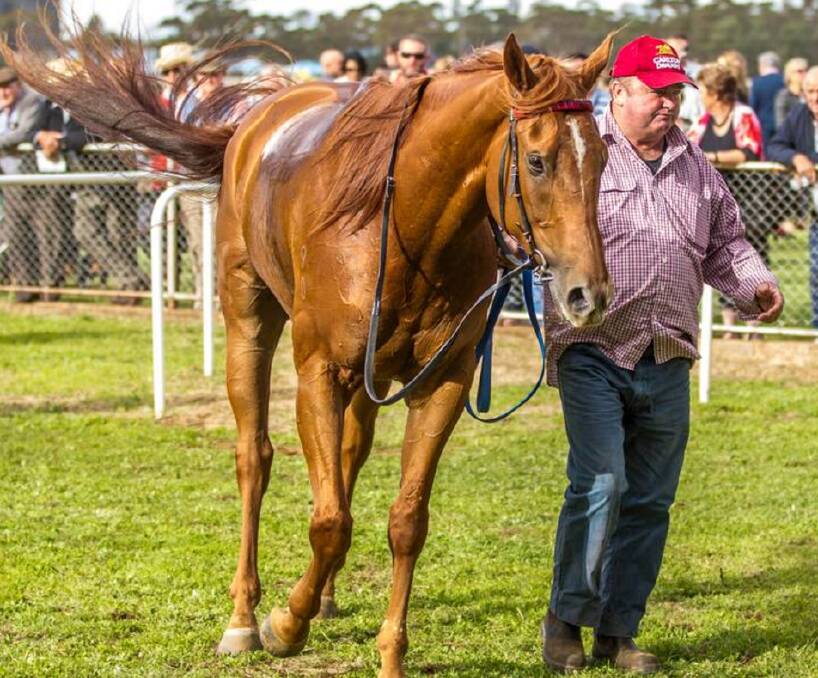 Parkes trainer George Wright has again won the NSW Picnic Trainers Premiership as the 2015-16 season comes to a close. Photo courtesy of www.racingphotography.com.au.