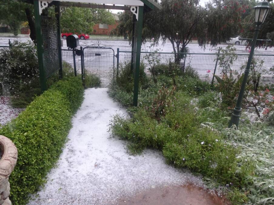WINTER NIGHTMARE: It wasn't really considered a winter wonderland but rather a winter nightmare as Bev Rowe discovered the hail in her front yard to be 15cm deep and Currajong Street was like a river of ice.