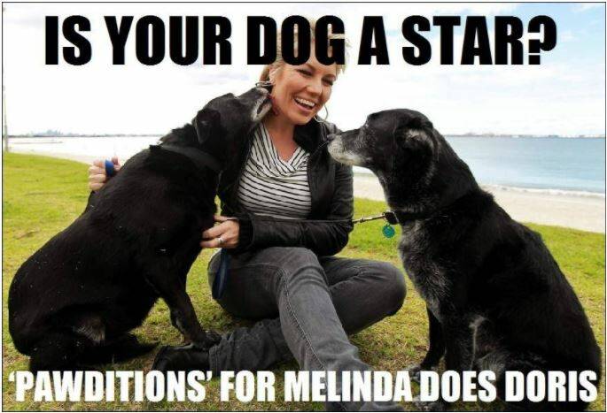 PAWDITIONS: Six-time CMAA Golden Guitar Award winner Melinda Schneider is searching for a local dog to star in her upcoming show.
